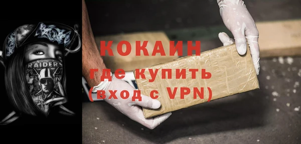 ГАЛЛЮЦИНОГЕННЫЕ ГРИБЫ Лагань