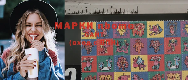 индика Ладушкин