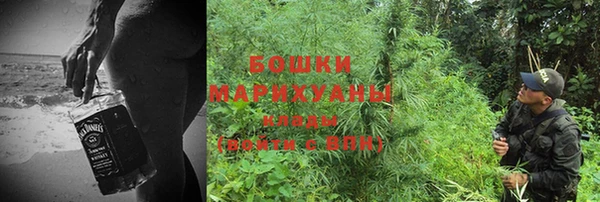 индика Ладушкин