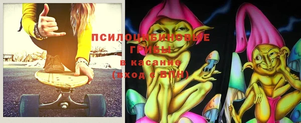 индика Ладушкин