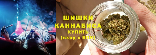 индика Ладушкин